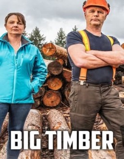 Big Timber