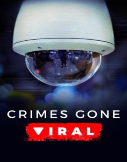 Crimes Gone Viral