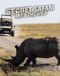 Secret Safari: Into the Wild